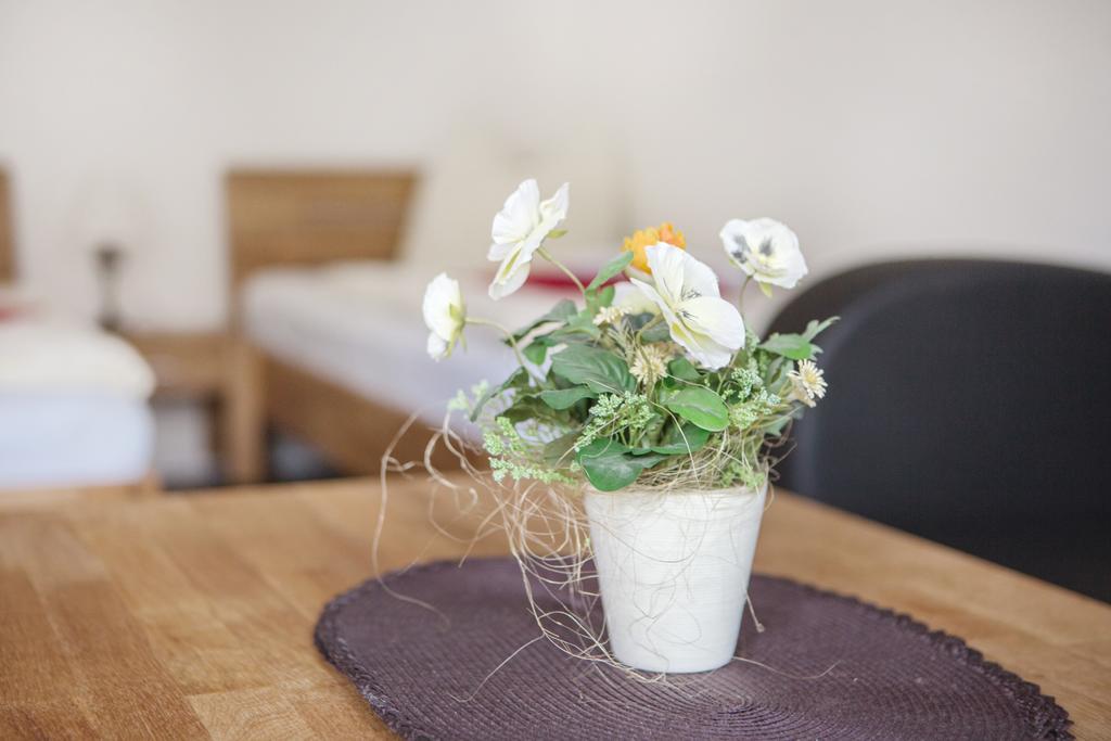 Pension Schmidt Rosengarten  エクステリア 写真
